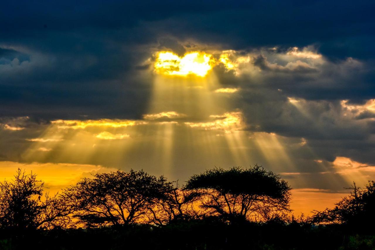 Africa Safari Serengeti Ikoma Camping Dış mekan fotoğraf